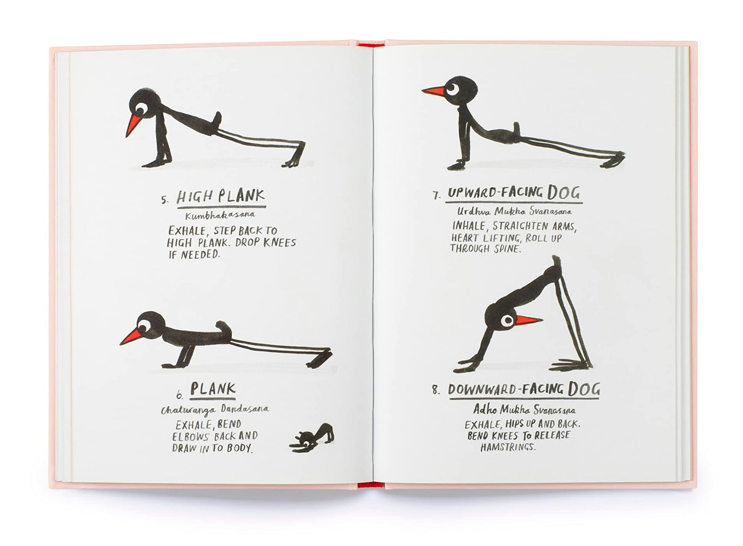 Yoga For Stiff Birds