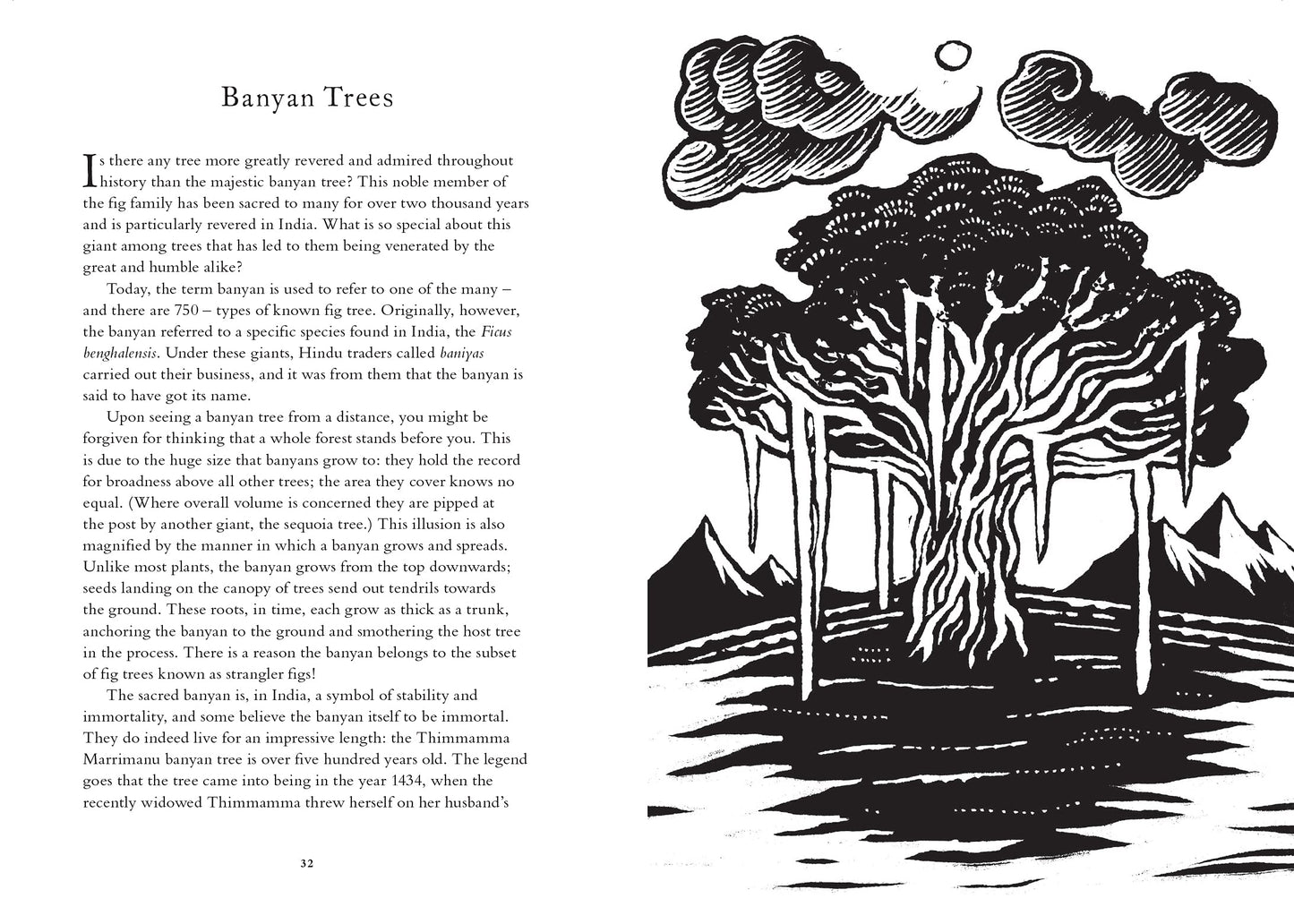 Treasury or Folklore (Woodlands & Forests)
