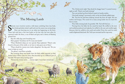 Peter Rabbit Tales From The Countryside