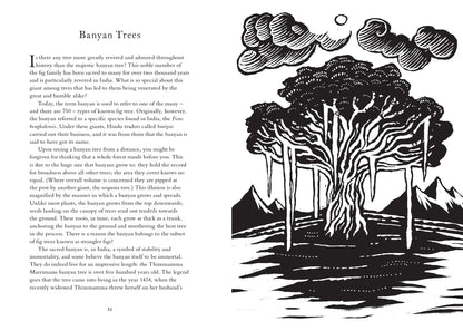 Treasury or Folklore (Woodlands & Forests)