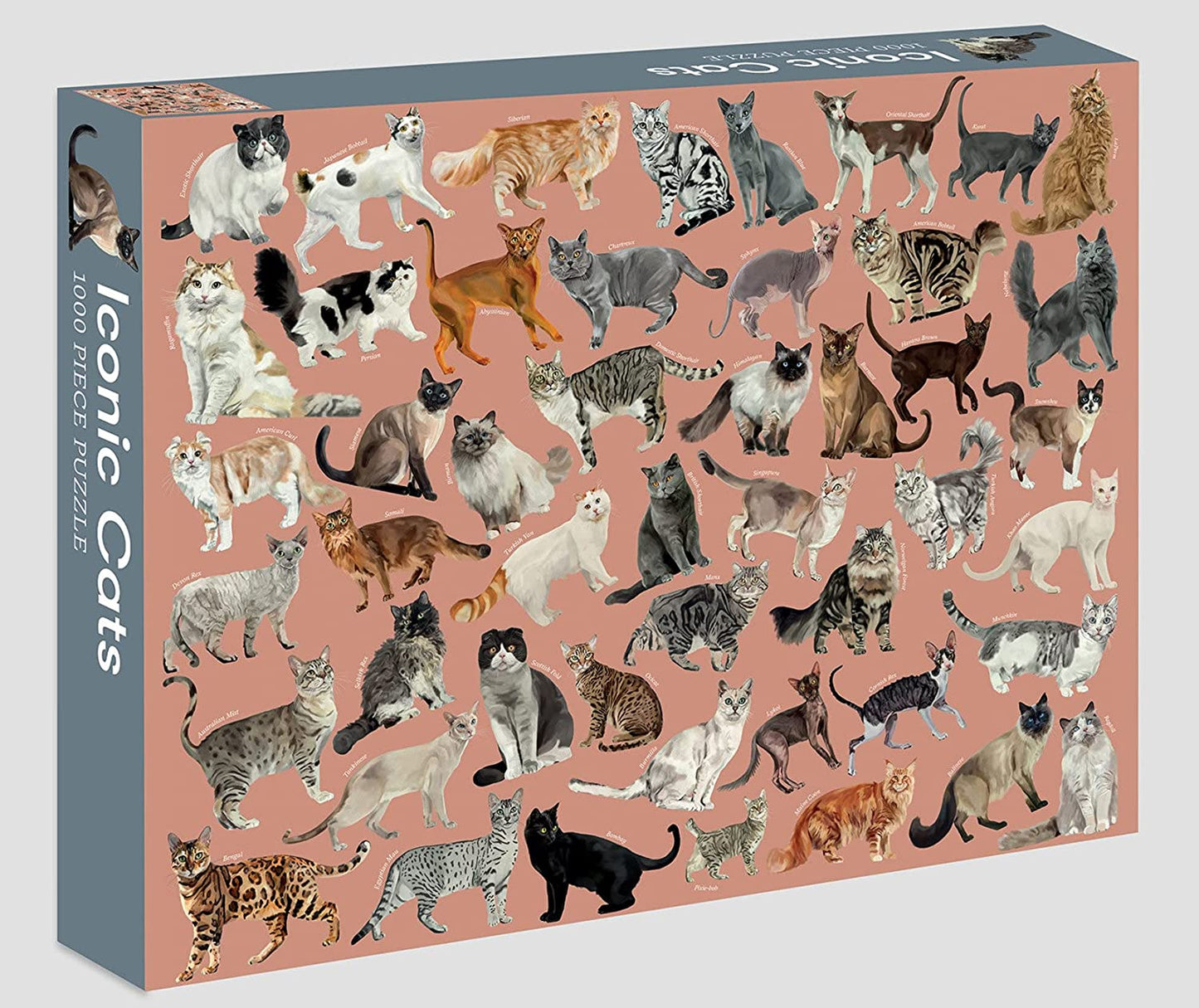 Iconic Cats 1000 Piece Jigsaw Puzzle