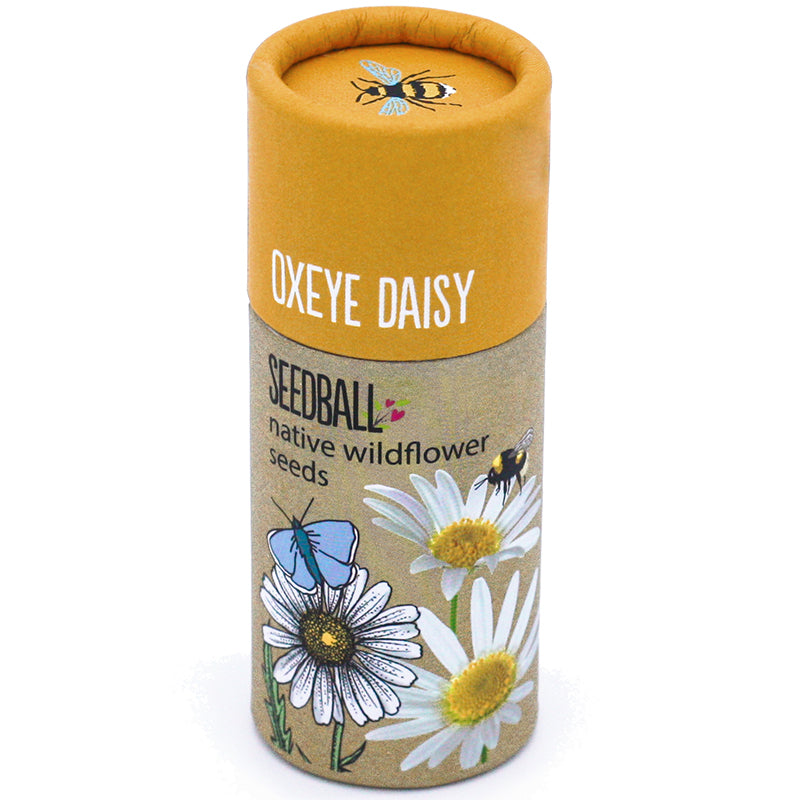 Seedball Tube - Oxeye Daisy