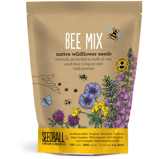 Seedball Grab Bag - Bee Mix